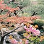 Kyoto, Japan